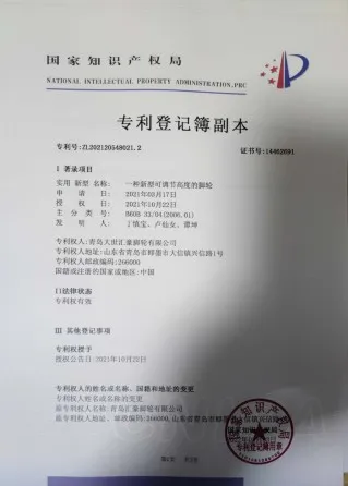 专利登记簿副本